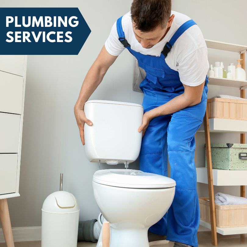 Plumbing Company in Eagle, MI